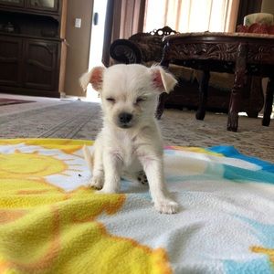 Meet your Posher, Jackie